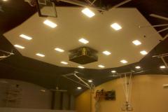 Commercial Ceilings